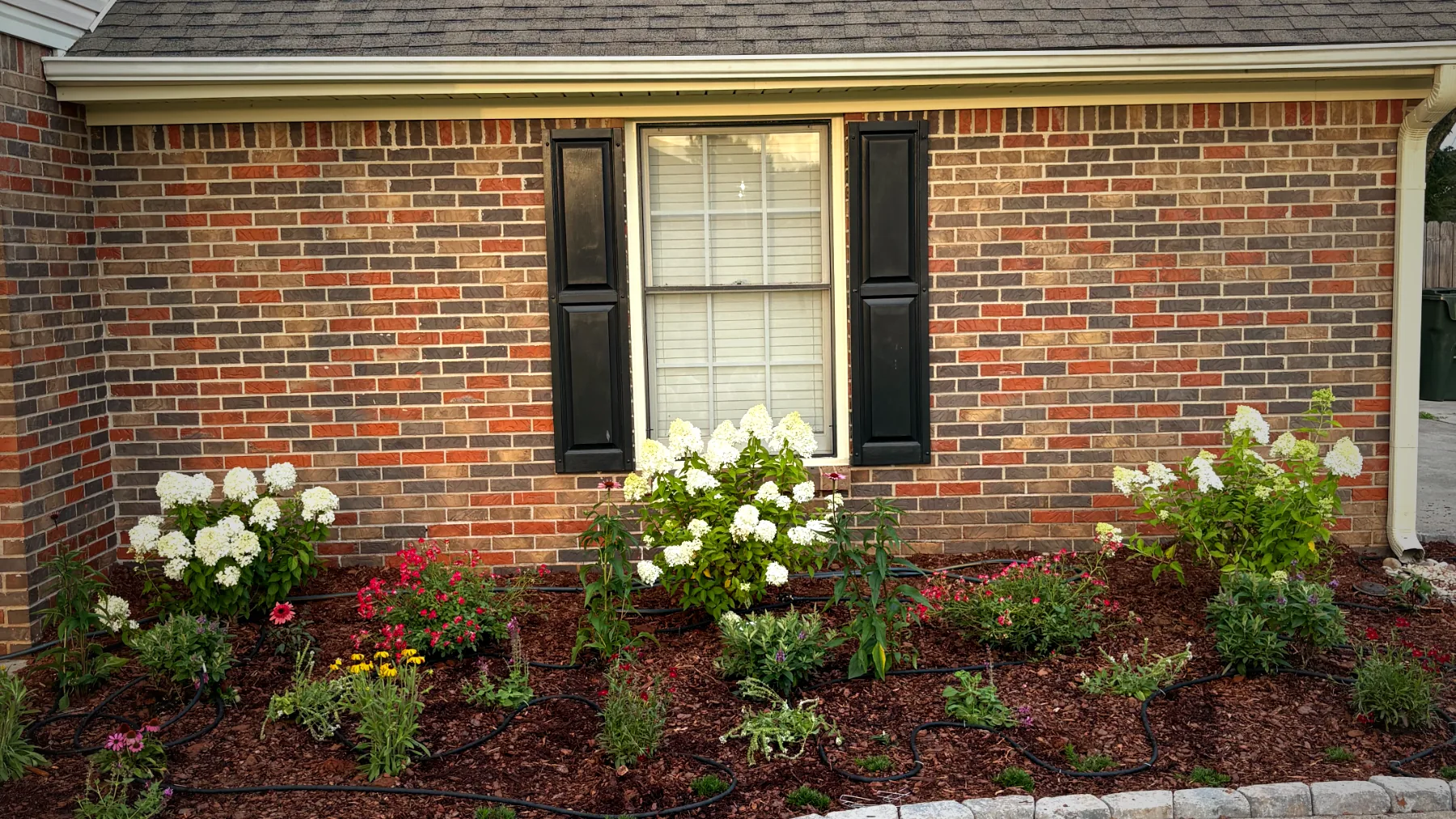 Plant installation, recent job site flower bed