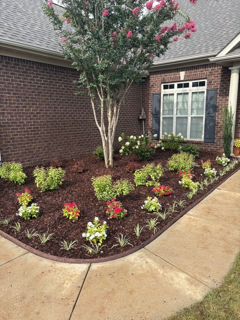 Landscaping project