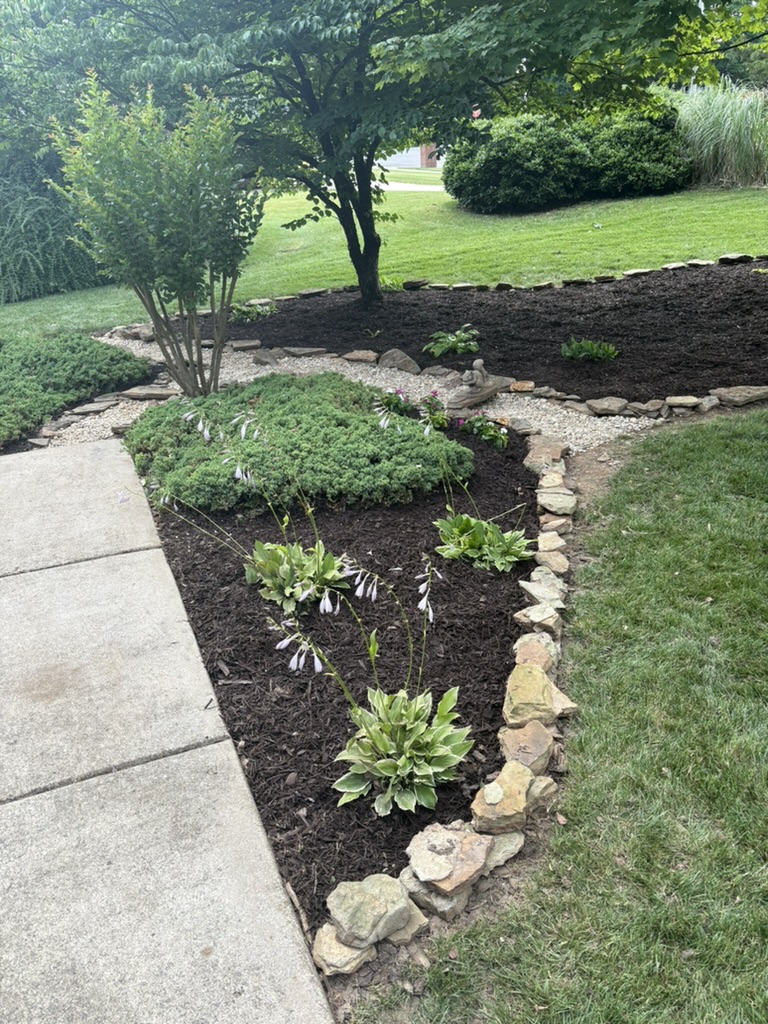 Landscaping project