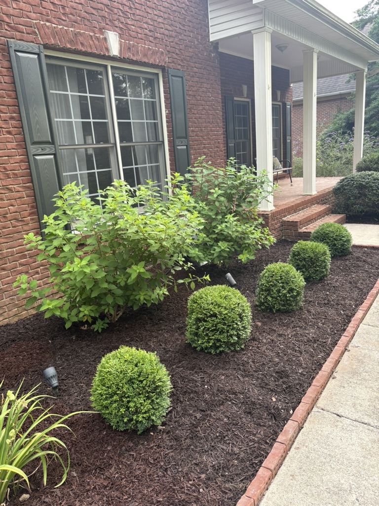 Landscaping project