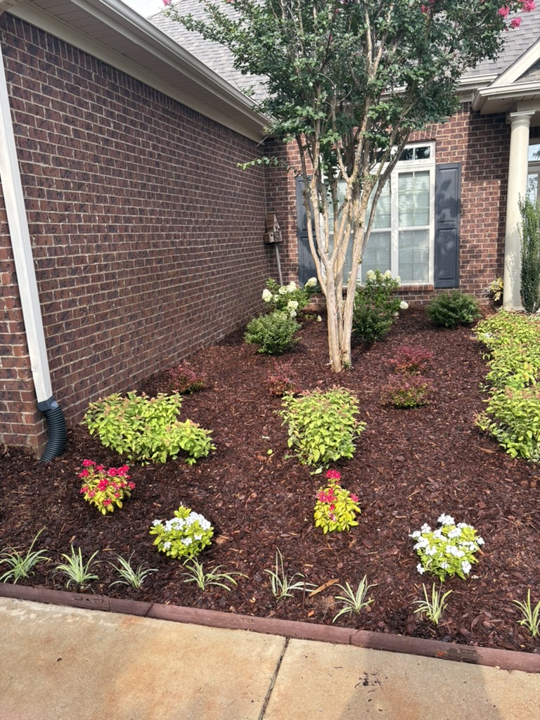 Landscaping project